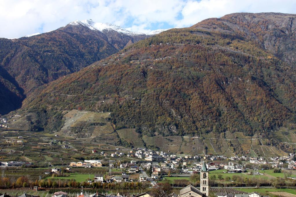 La Madonnina Lejlighed Villa di Tirano Eksteriør billede