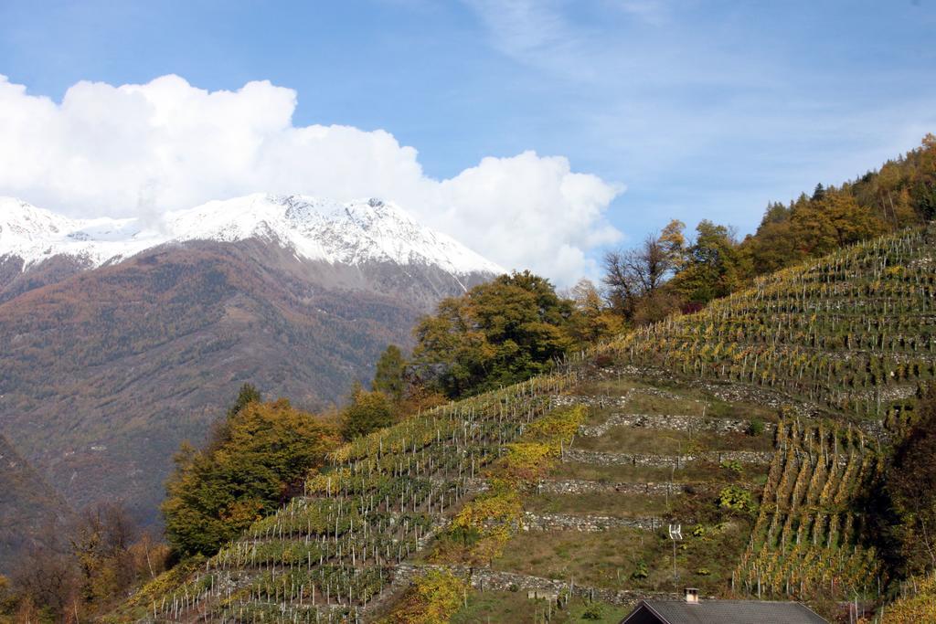La Madonnina Lejlighed Villa di Tirano Værelse billede